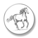 Logo of Horse Racing News android Application 